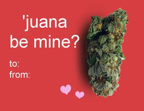 e3a13ca844a8fa777162350b2f317063--stoner-couple-weed-humor-couple