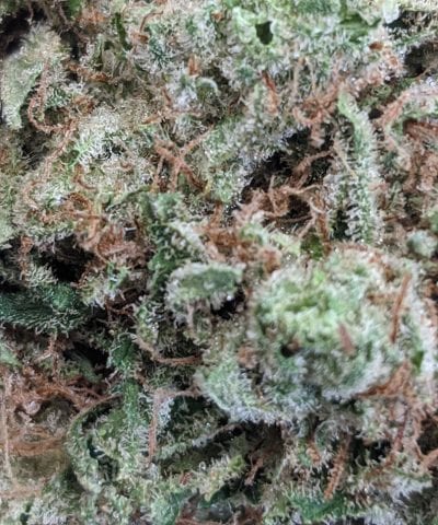 image of cannabis indica stains