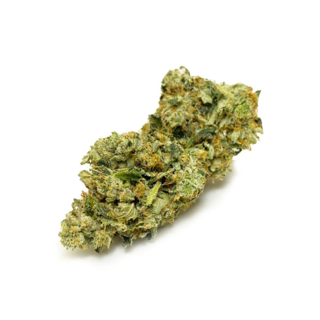 PINK ANXIETY - BALANCED HYBRID - (AAA)