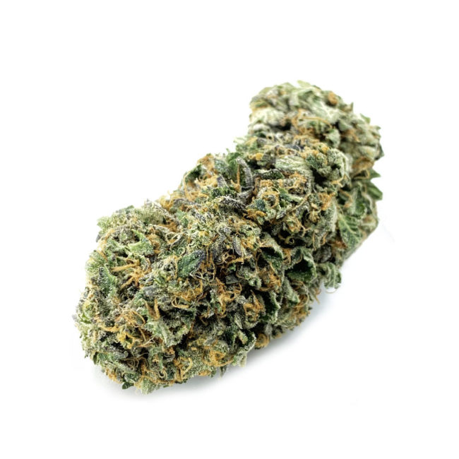 GRAND MASTER - BALANCED HYBRID - (AAAA)
