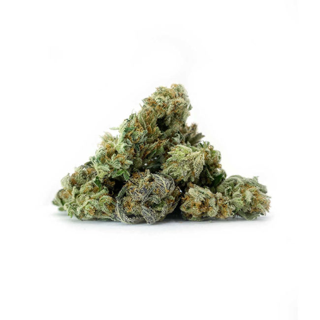 28gr - GORILLA GLUE #4 (SMALLS) - BALANCED HYBRID - (AAA)