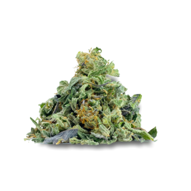 kingtuts grandmaster trim