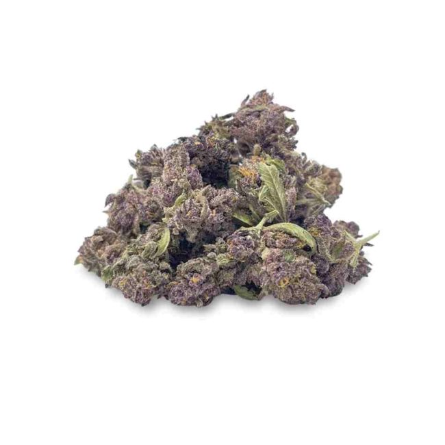 HUCKLEBERRY (SMALLS) - BALANCED HYBRID ﻿- (A)