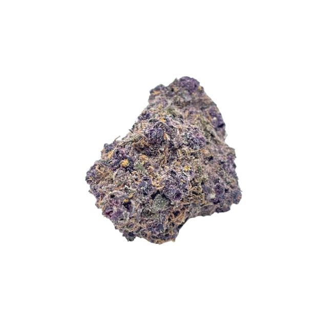 HUCKLEBERRY - BALANCED HYBRID - (A)