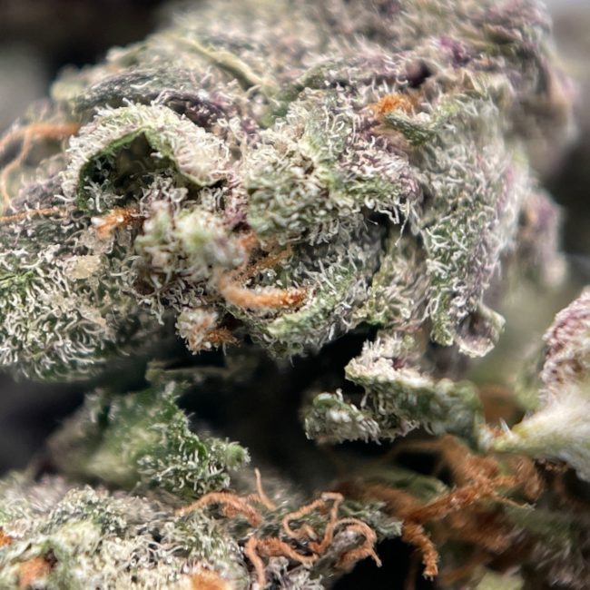 HINDU KUSH (SMALLS) - INDICA - (AAA) - Image 2