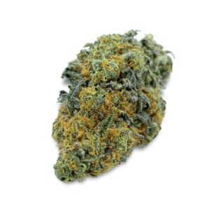 28gr - CEMENT SHOES - INDICA - (AA)