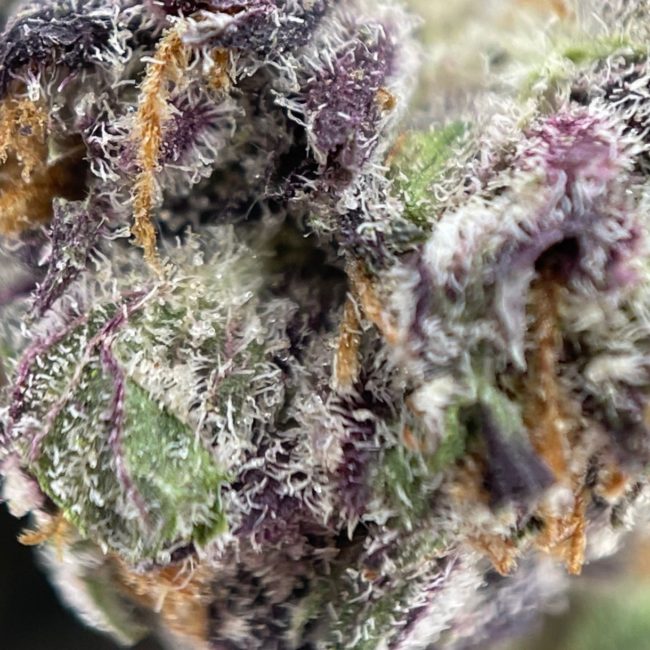 28gr - CRITICAL KUSH (SMALLS) - INDICA - (AAA) - Image 2