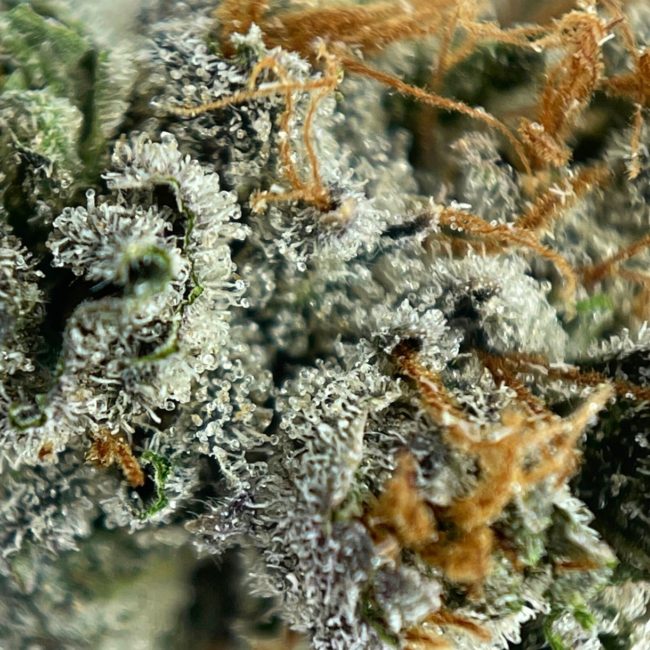 GRANDPA'S BREATH - INDICA - (AAA) - Image 2