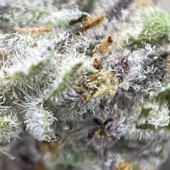 PURPLE SPACE COOKIES (SMALLS) - INDICA - (AAA) - Image 2