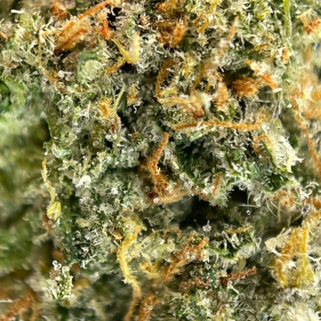 PURPLE ENVY - INDICA - (AAA) - Image 2