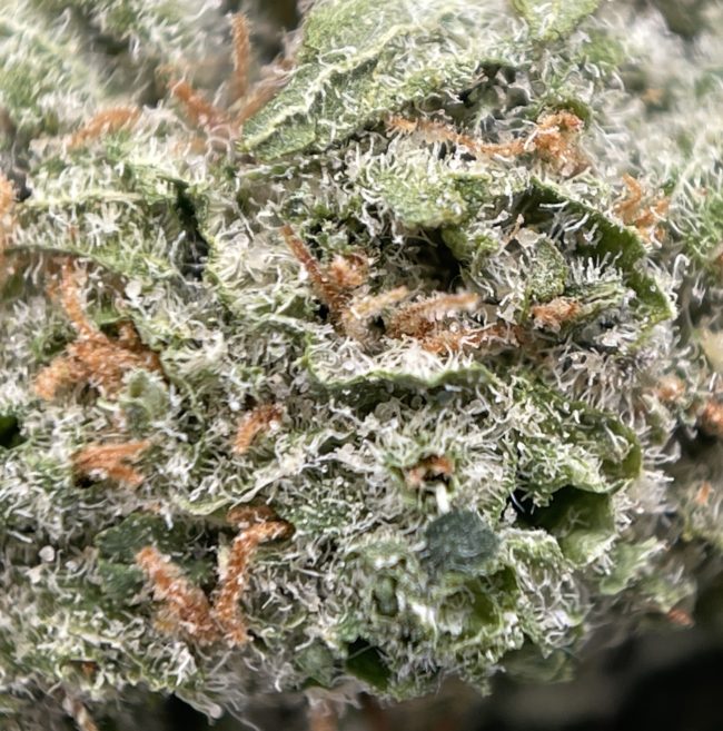king tuts green crack smalls