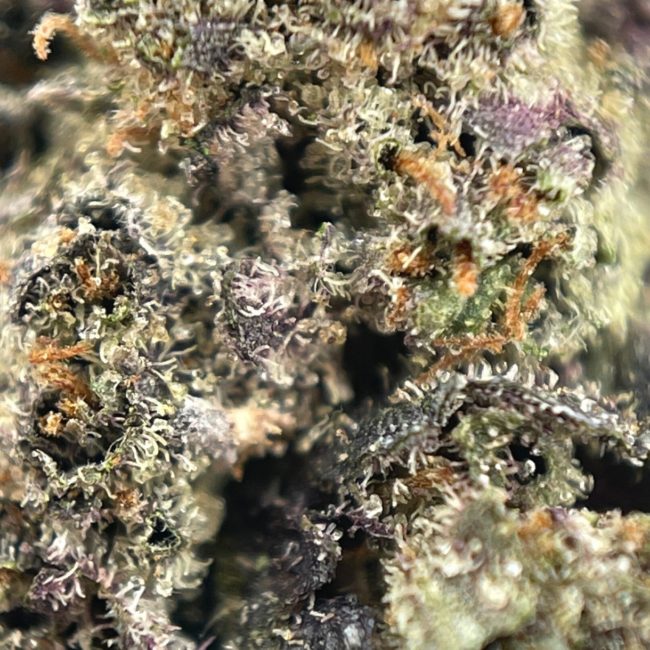 King Tuts Ice Cream Bubba smalls