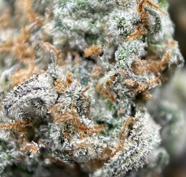PEANUT BUTTER BREATH (SMALLS) - BALANCED HYBRID - (AAA) - Image 2