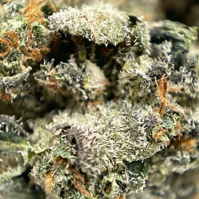 28gr - TOM FORD PINK KUSH - INDICA - (AAA) - Image 2