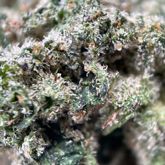 FROSTY OG (SMALLS) - BALANCED HYBRID - (AAA) - Image 2