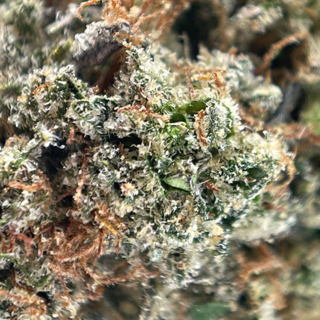 28gr - MIMOSA - SATIVA - (AAA) - Image 2