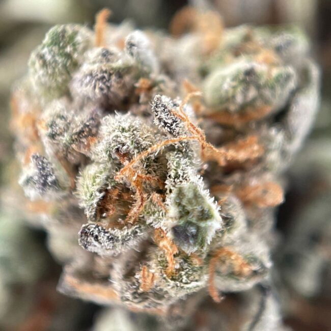 28gr - DO-SI-DOS (SMALLS) - INDICA - (AAA) - Image 2