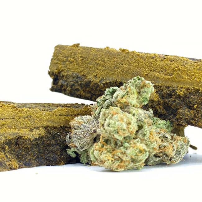 MASERATI HASH - INDICA - (AA)