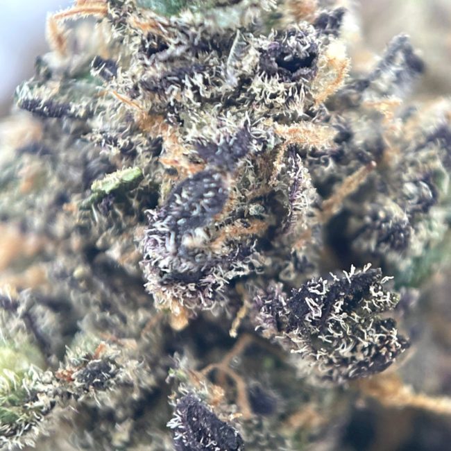 28gr - CRAZY RUNTZ (SMALLS) - BALANCED HYBRID - (AAA) - Image 2