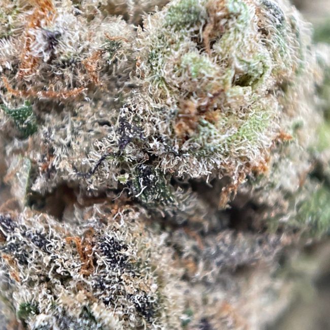 COOKIES AND CREAM (SMALLS) - INDICA - (AAAA) - Image 2