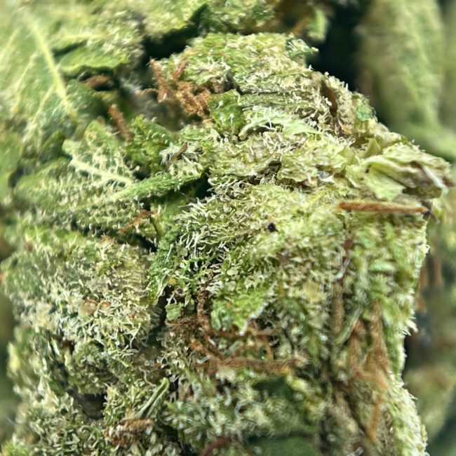 28gr - ROCKSTAR TUNA (SMALLS) - INDICA - (AAA) - Image 2