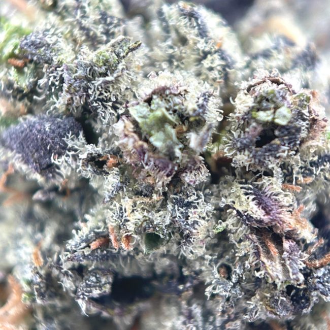 SFV OG - INDICA - (AAA) - Image 2