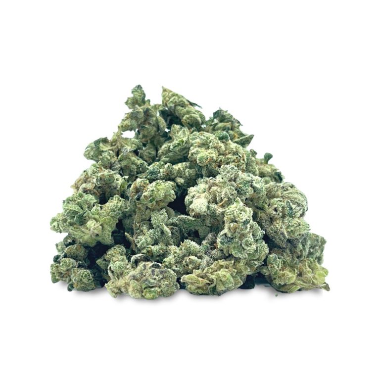 vc 2 (1)