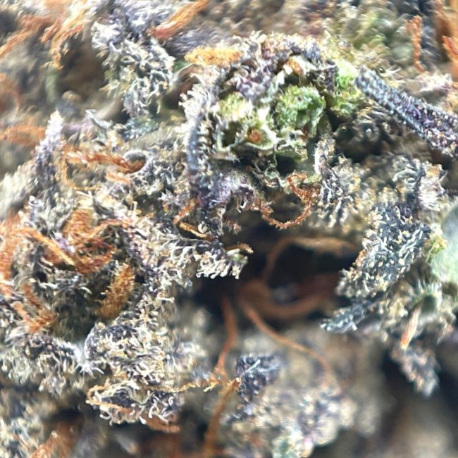 HELL'S BELLS - INDICA - (AAAA) - Image 2