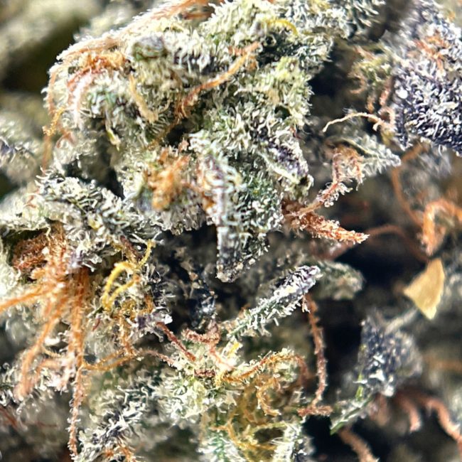 28gr - JET FUEL - SATIVA - (AAA) - Image 2