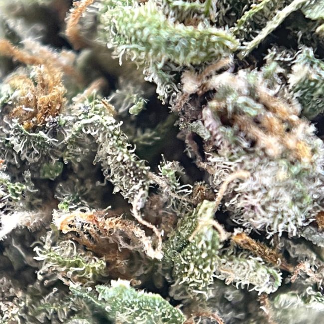 28gr - OG PINK - INDICA - (AAA) - Image 2