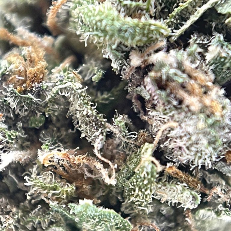og pink 2