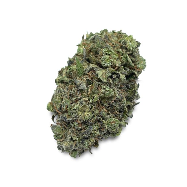 9 LB HAMMER - INDICA - (AAA)
