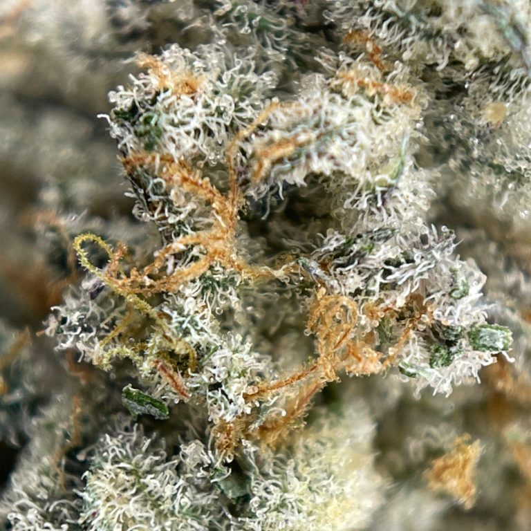 FROS GEL SM 2