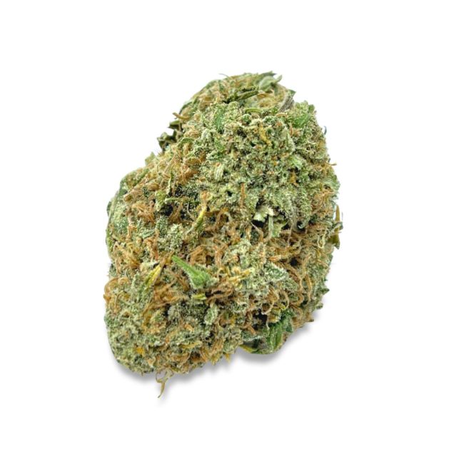 GLUEBERRY OG - BALANCED HYBRID - (AAA)