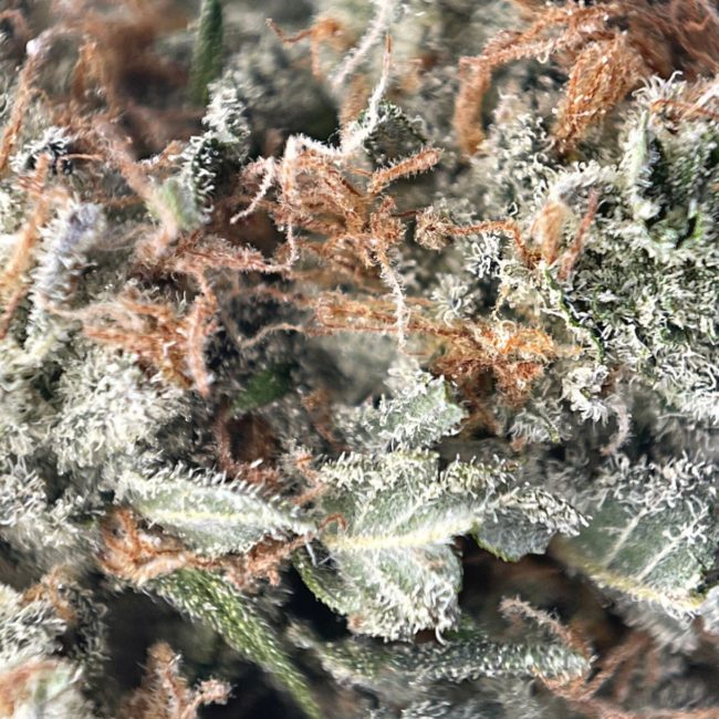 SPIKED PUNCH - INDICA - (AAA) - Image 2