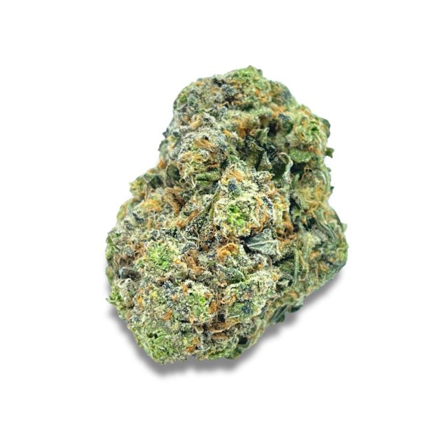 FORBIDDEN RUNTZ - INDICA - (A)