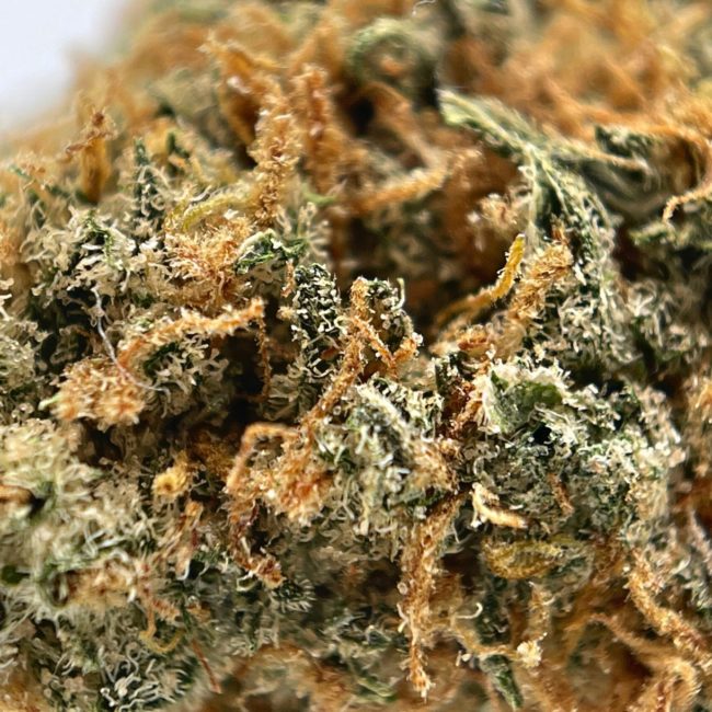 28gr - ZKITTLEZ - INDICA - (AAA) - Image 2