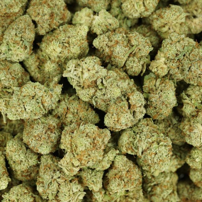 28gr - JET FUEL - SATIVA - (AAA) - Image 3