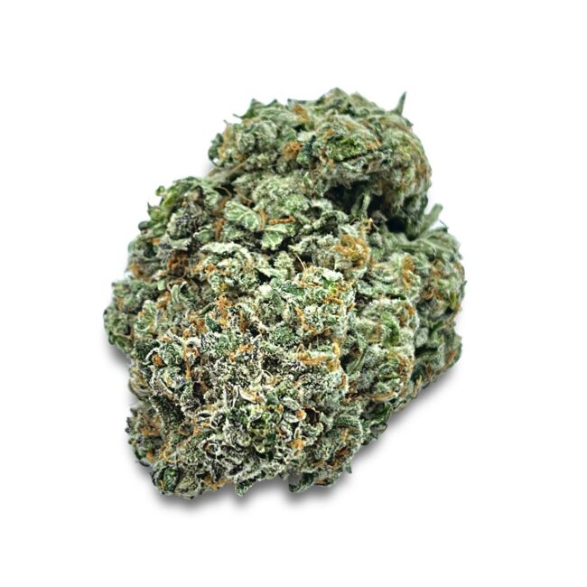 28gr - WHITE RUNTZ - BALANCED HYBRID - (AAA)