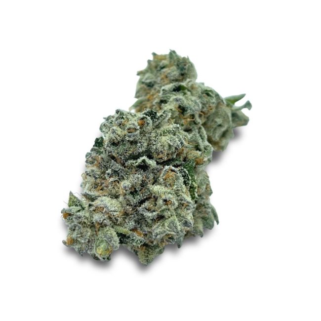 999 - INDICA - (AAA)
