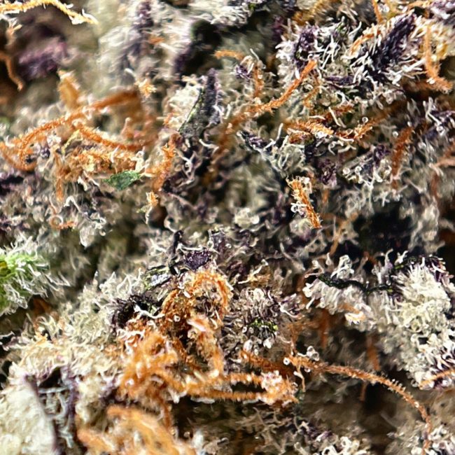 PURPLE MILK - INDICA - (AAA) - Image 2
