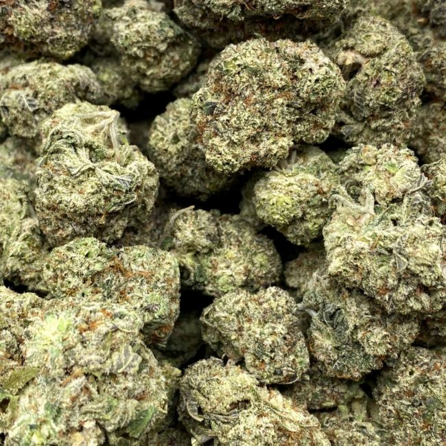 1/2p - DONKEY BUTTER (BULK) - INDICA - (AAA) - Image 2