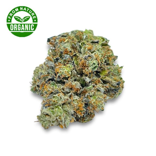 MASTER KUSH ULTRA (ORGANIC) - BALANCED HYBRID - (AAA)