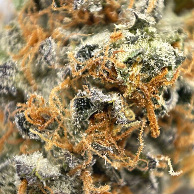 RAINBOW RESERVE - BALANCED HYBRID - (AA) - Image 2