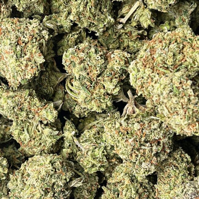 1/2p - WHERE'S MY BIKE (BULK) - SATIVA - (AAA) - Image 2