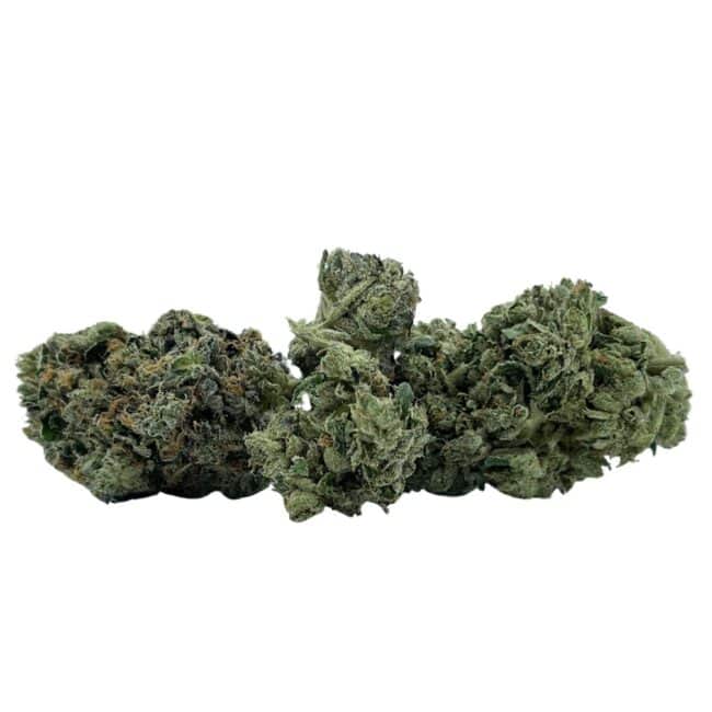 28gr- BLACK TUNA - BALANCED HYBRID - (AAA) - Image 3