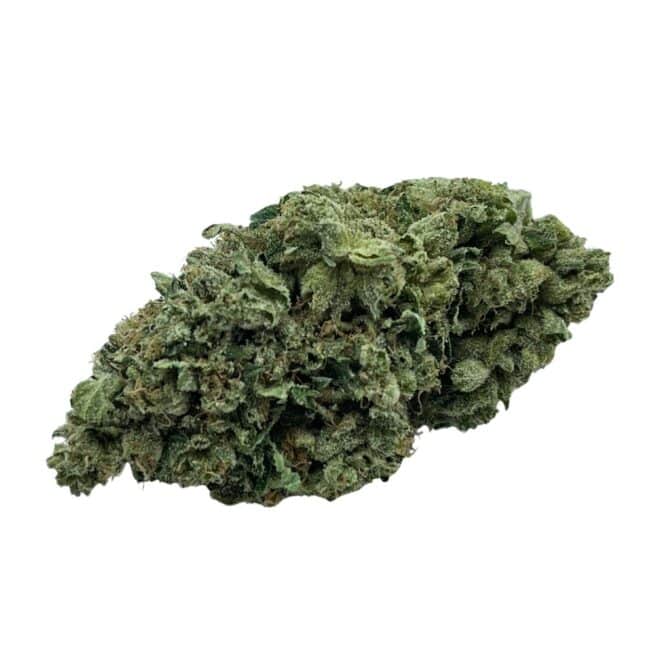 28gr- BLACK TUNA - BALANCED HYBRID - (AAA)