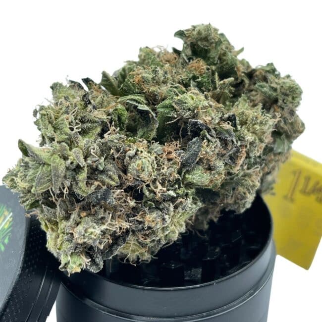 28gr- BLACK TUNA - BALANCED HYBRID - (AAA) - Image 4