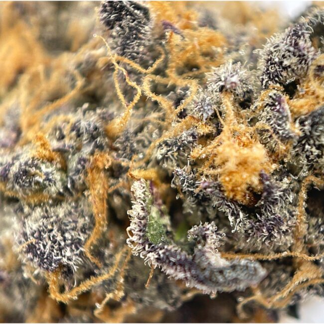 28gr - CAKE BAKE - BALANCED HYBRID - (AAAA) - Image 2