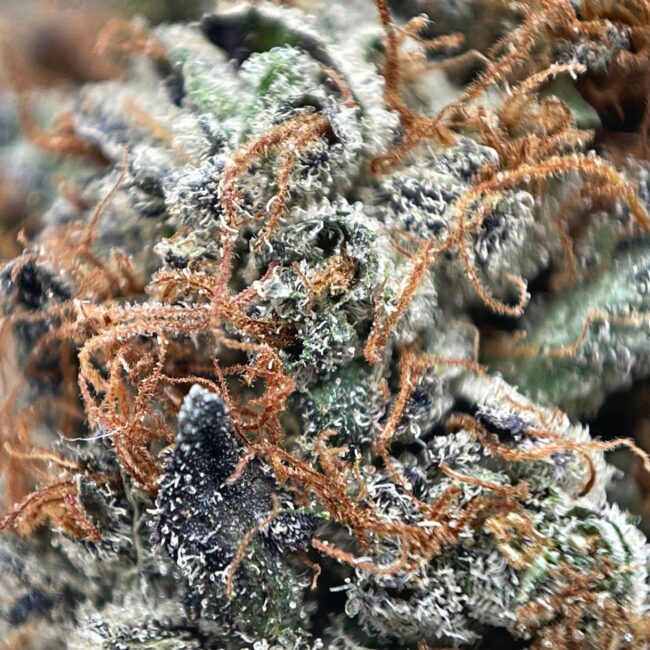 28gr - CHERRY MINTS - INDICA - (AAA) - Image 2